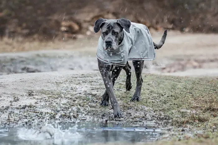 Kentucky Dog Raincoat Dusty Blue