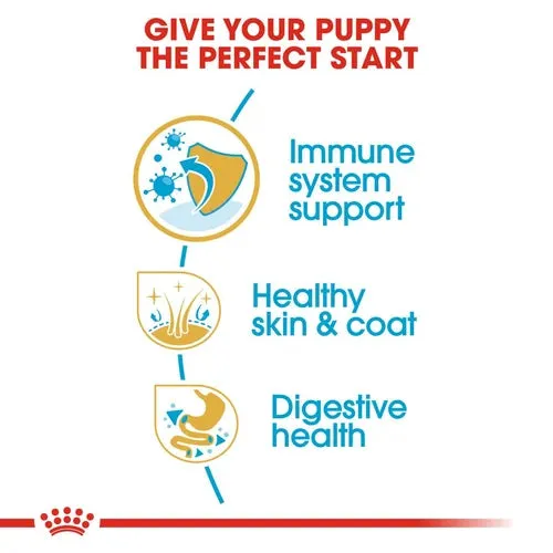 Royal Canin Shih Tzu Puppy Dry Pet Food For Dogs